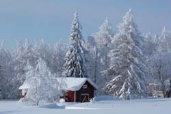 Winterabenteuer, Nordeuropa, Finnland, Finnisch Lappland: Verschneites Haus im Schnee