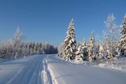 Winterabenteuer, Nordeuropa, Finnland, Finnisch Lappland: Weite, verschneite Wlder